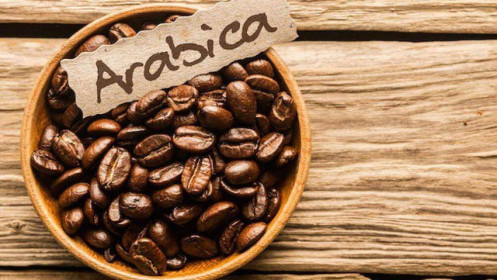 Bản tin cà phê ngày 26/11: Giá cà phê Arabica tăng vọt do dự báo thời tiết ở Brazil