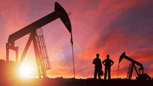 OPEC+ cân nhắc hủy bỏ kế hoạch tăng sản lượng dầu