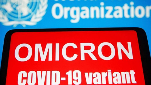 Pháp công bố ca mắc biến thể Omicron đầu tiên