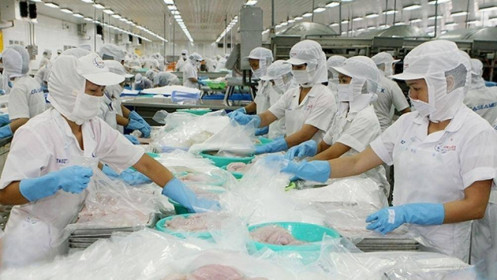 Hưởng lợi từ FTA, kinh tế Việt Nam tăng trưởng mạnh mẽ