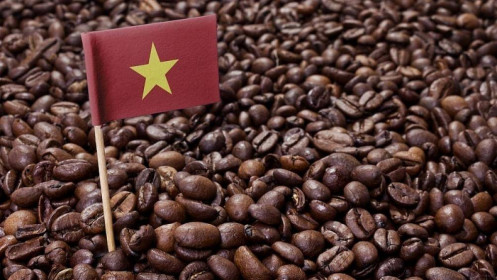 Bản tin cà phê ngày 03/12: Giá cà phê tăng nhẹ nhờ xuất khẩu toàn cầu