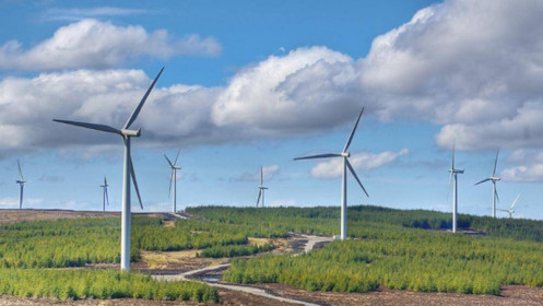 C47 điều chỉnh tỷ lệ sở hữu nước ngoài, sẽ hợp tác quốc tế trong lĩnh vực điện gió
