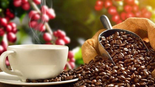 Phân tích nhóm nguyên liệu công nghiệp ngày 14/12: Giá cà phê thế giới tiếp tục giảm