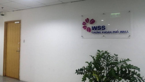WSS muốn phát hành cổ phiếu tăng vốn điều lệ lên hơn 1.000 tỷ đồng
