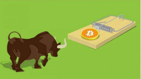 Bull trap là gì? Dấu hiệu nhận biết và cách thoát bẫy Bull trap