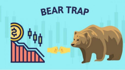 Bear trap là gì? Cách tránh bẫy giảm giá khi giao dịch chứng khoán