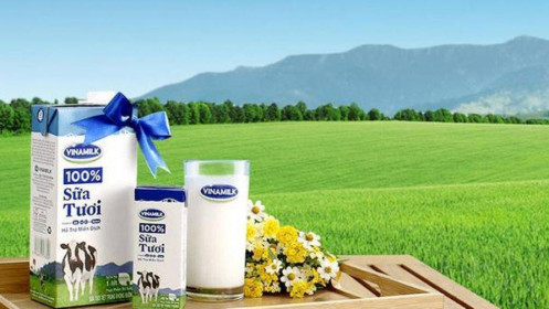 Vinamilk chốt danh sách cổ đông chi 2.900 tỷ cổ tức đợt 2/2021