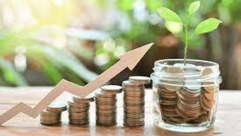 Học gì và học như thế nào để bắt đầu đầu tư?