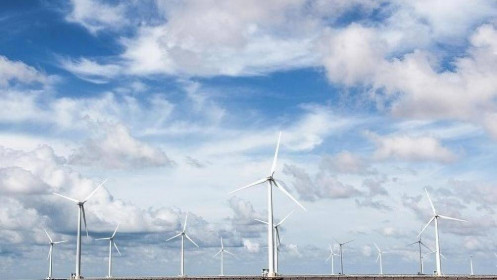Bà Rịa – Vũng Tàu: Tái khởi động Dự án điện gió ven biển có vốn đầu tư gần 5.000 tỷ đồng