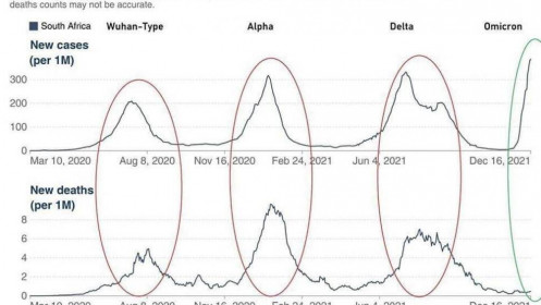 4 hình elip nói lên 4 đợt sóng covid, đợt vũ hán, alpha (chủng Anh), đợt delta (chủng ấn độ) và Omnicron (nam phi), 3 đợt đầu thì nhìn nửa trên là số ca nhiễm