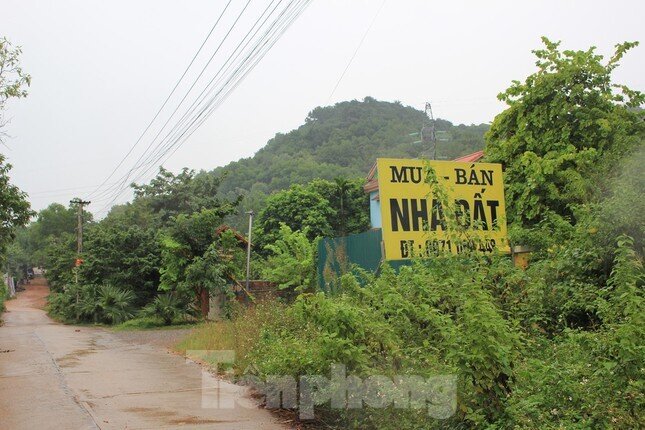 Hà Nội muốn đưa 3 huyện lên thành phố: 'Kiểm soát quy hoạch tránh tạo cơn sốt đất ảo'