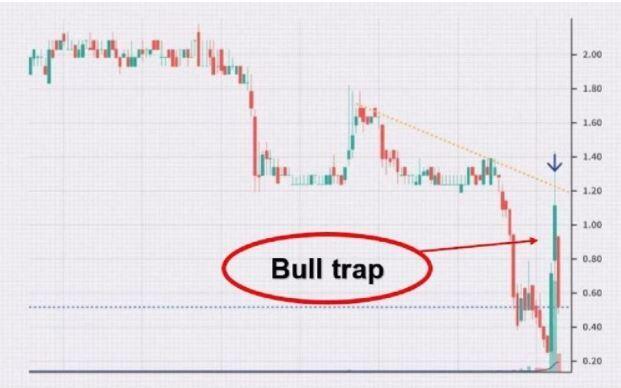 Bull trap là gì? Dấu hiệu nhận biết và cách thoát bẫy Bull trap