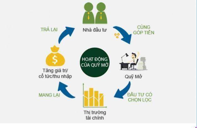 Quỹ mở là gì? Định nghĩa, khái niệm, giải thích ý nghĩa, ví dụ mẫu - 24HMoney