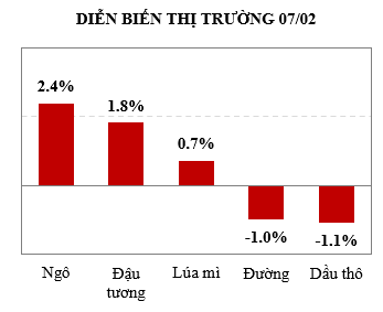 Mưa thất thường làm giảm tiến độ thu hoạch đậu tương Brazil