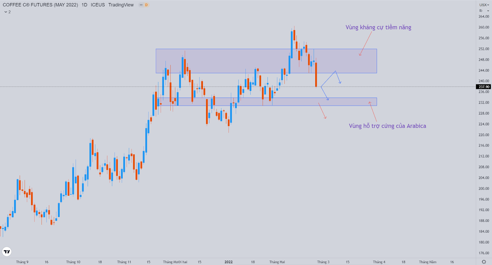 Bản tin cà phê ngày 25/02/2022: Cà phê giảm mạnh do lo ngại về nhu cầu