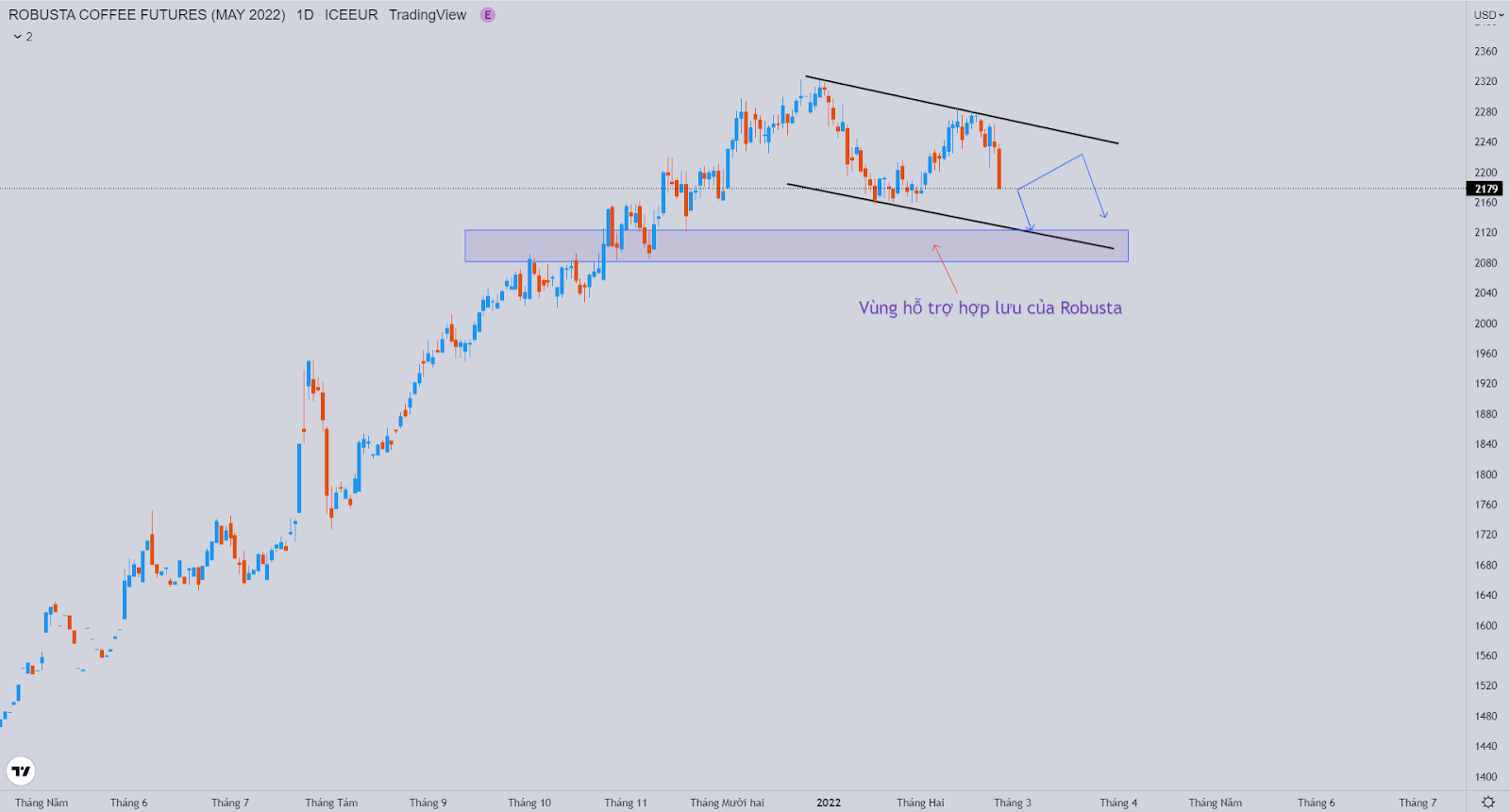 Bản tin cà phê ngày 25/02/2022: Cà phê giảm mạnh do lo ngại về nhu cầu
