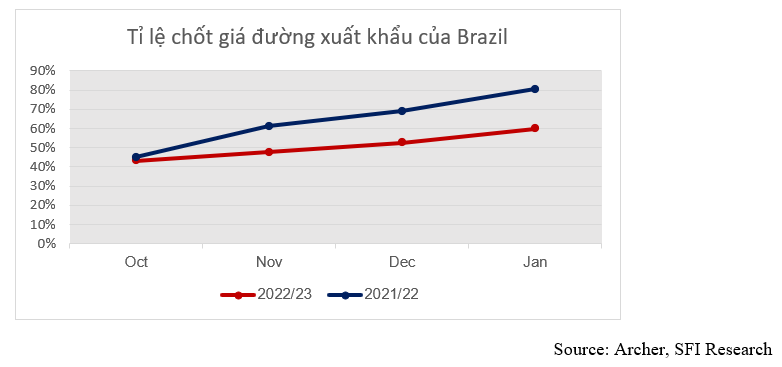 Tốc độ chốt giá đường xuất khẩu Brazil chậm bất chấp mùa vụ nhiều triển vọng
