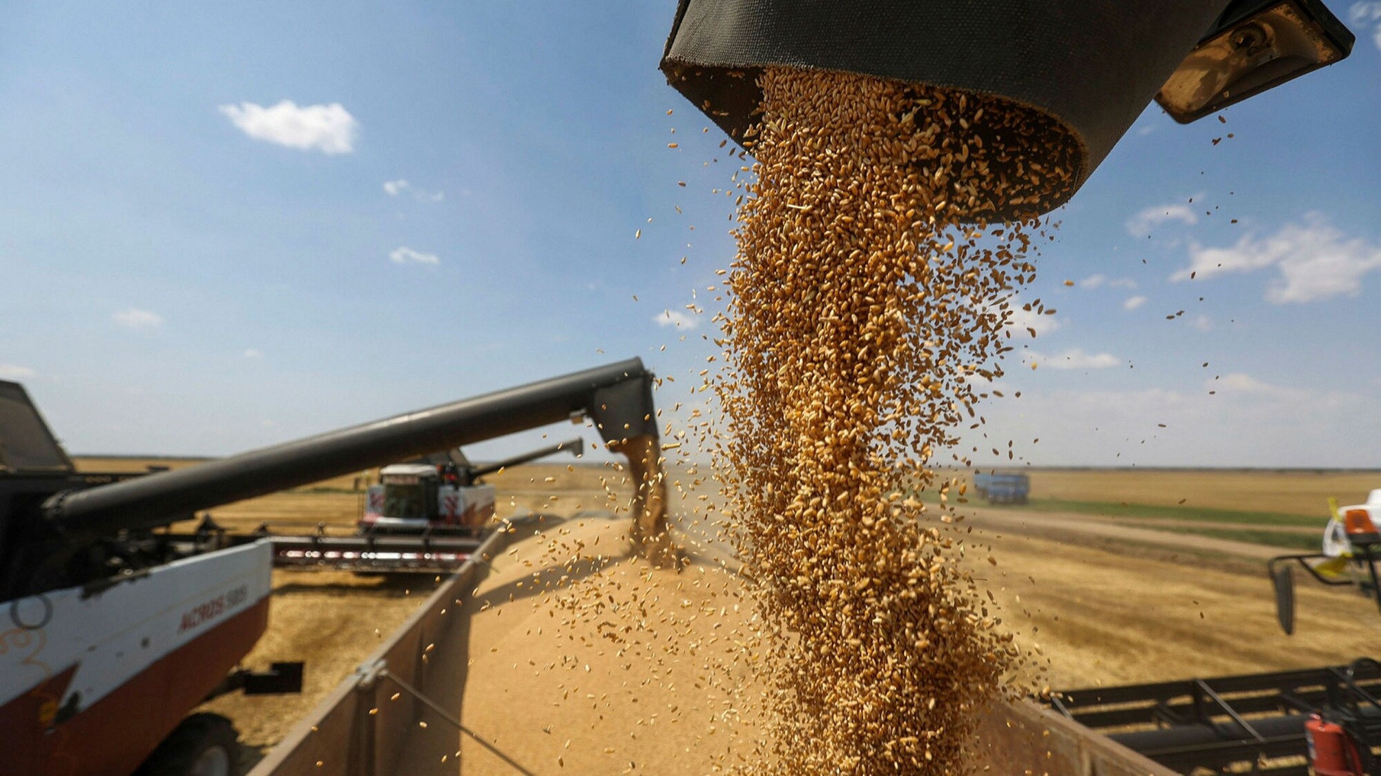 Trung Quốc bình an giữa chiến sự Nga - Ukraine nhưng không thoát đà tăng giá ngũ cốc