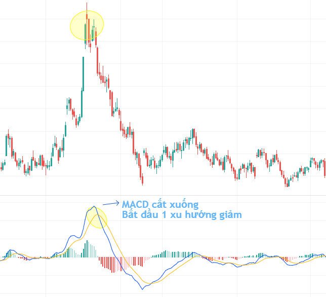 Bắt đáy với chỉ báo MACD