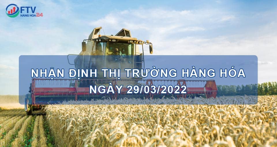 Nhận định thị trường hàng hóa ngày 29/03/2022