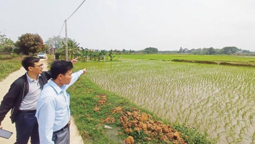 “Mê lực” đất nền
