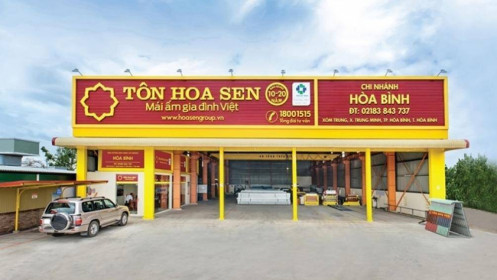 Phân tích cổ phiếu HSG