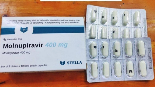 Bộ Y tế xem xét cấp phép 4 công ty dược sản xuất thuốc Molnupiravir điều trị Covid-19