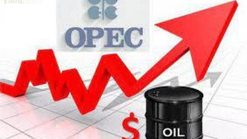 Triển vọng lạc quan của dầu thô kỳ hạn trong năm 2022 dưới góc nhìn của OPEC+