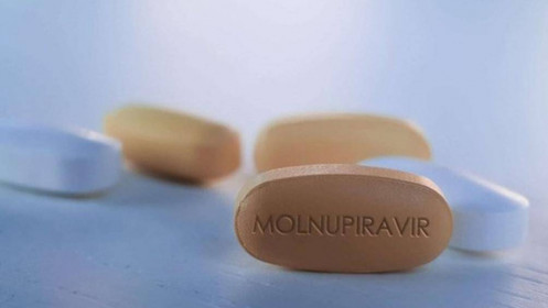 Bộ Y tế yêu cầu thanh, kiểm tra thông tin thuốc Molnupiravir bán tại nhà thuốc