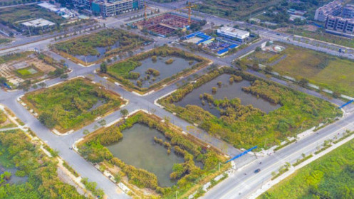 Giải pháp cho đấu giá đất