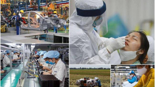 Kết thúc có hậu cho năm 2021 và triển vọng tích cực năm nay