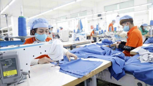 Yếu tố mang lại thành công cho ngành sản xuất của Việt Nam
