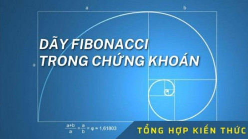 Fibonacci trong chứng khoán là gì và những sai lầm cần tránh