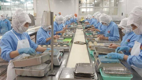Doanh nghiệp thủy sản sẽ không có nhiều “đất diễn” trong năm 2022