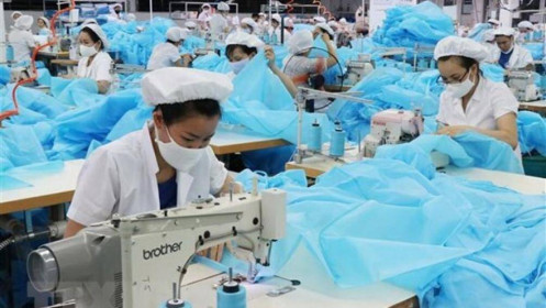 Cơ sở để kinh tế Việt Nam phục hồi và phát triển trong năm 2022