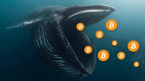 Thị trường rối loạn, "cá voi" âm thầm "gom hàng" thêm 40.000 Bitcoin