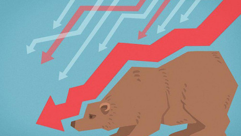 Chiến lược khôn ngoan cho thị trường giá xuống (thị trường gấu)