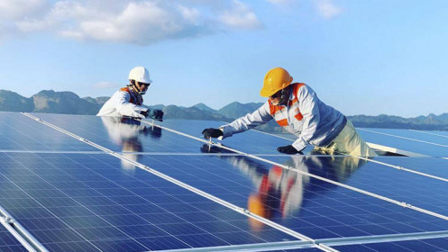 Vì sao giới đầu tư nên quan tâm đến ngành năng lượng tái tạo của Việt Nam?