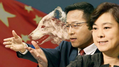 Trung Quốc đang “thuần hóa bầy Chiến Lang”?