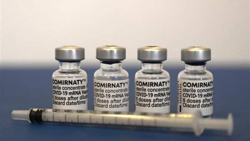 Pfizer và BioNTech tiến hành thử nghiệm vaccine đặc trị Omicron