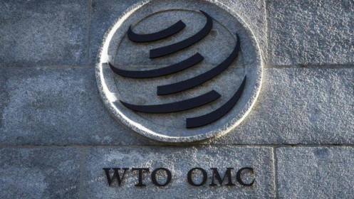 EU kiện Trung Quốc ra WTO