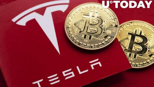 Tesla nắm giữ bao nhiêu Bitcoin?