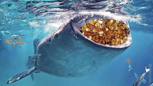 "Cá voi" tích lũy thêm 1,7 triệu Bitcoin trong 5 năm qua