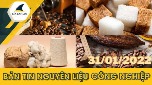 Phân tích Nhóm nguyên liệu công nghiệp ngày 31/01/2022: Thị trường cà phê Việt Nam dự kiến sẽ khởi sắc