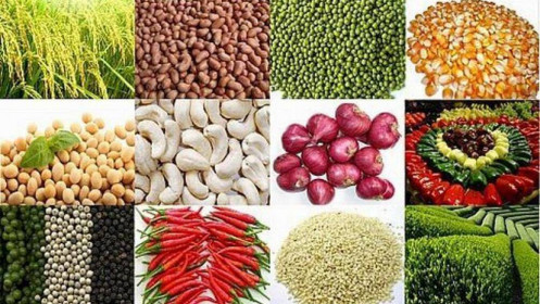 Phân tích nông sản ngày 01/02/2022