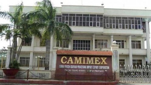 Camimex Group (CMX): Doanh thu 2021 cao kỷ lục, lãi ròng tăng 37%