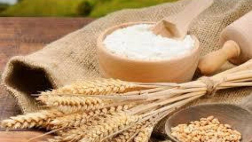 Thị trường nông sản Mỹ: Giá lúa mỳ tăng mạnh trong phiên 11/2