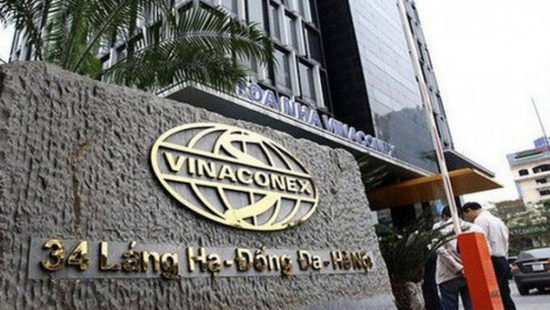 Vinaconex báo lãi ròng 2021 tụt dốc 75%