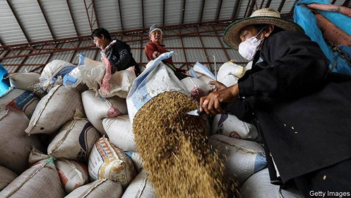 Vì sao châu Á không chịu áp lực lạm phát lớn như phương Tây?