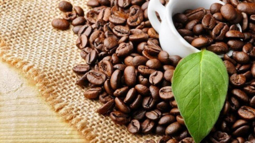 Bản tin cà phê ngày 25/02/2022: Cà phê giảm mạnh do lo ngại về nhu cầu